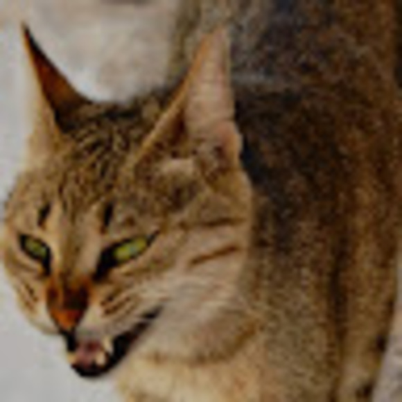 Meet your Posher, J - Picture 1 of 1